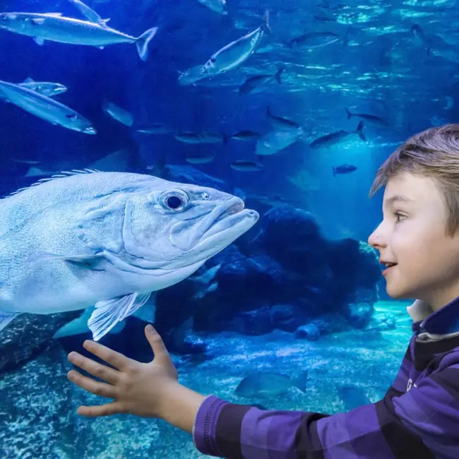 sea life gardaland prezzi