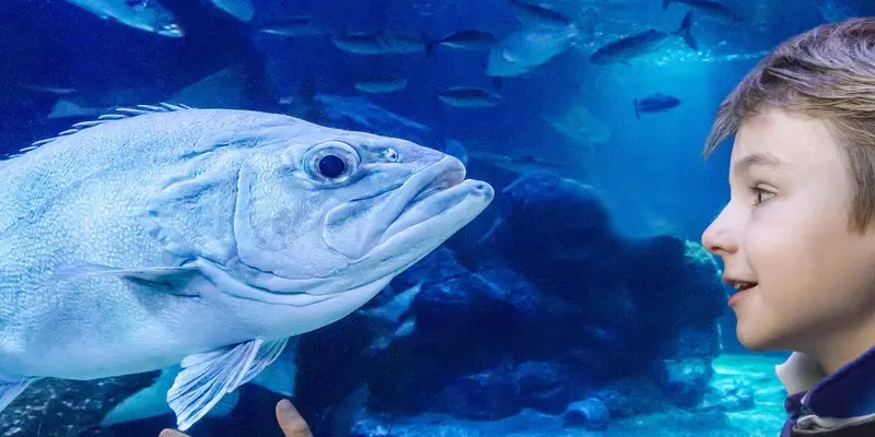sea life gardaland prezzi