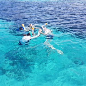 Escursioni  in barca da Olbia con osservazione dei delfini e snorkeling vicino a Figarolo