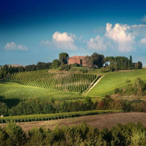tour enogastronomico Montalcino con degustazione  di Brunello