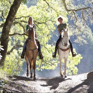 passeggiate a cavallo Siena San Gimignano equitazione guidata