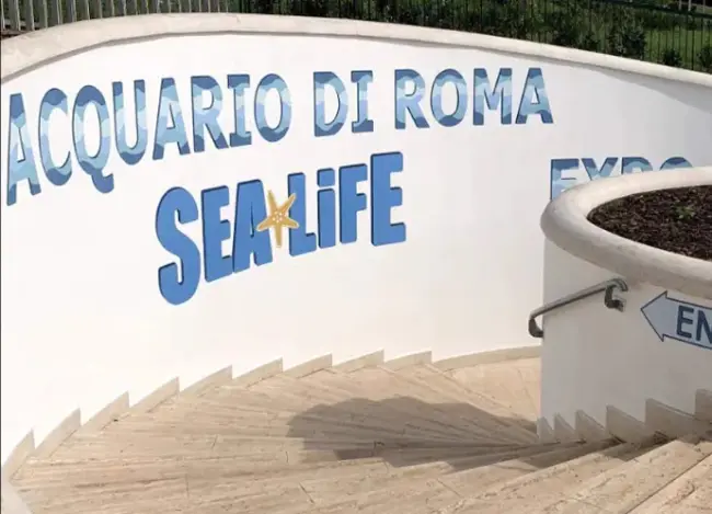 Acquario roma eur