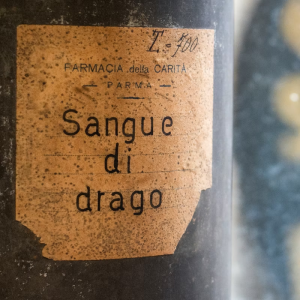 Biglietti per Tour delle erbe, dei prodotti botanici e delle spezie presso l'antica Farmacia San Filippo Neri di Parma