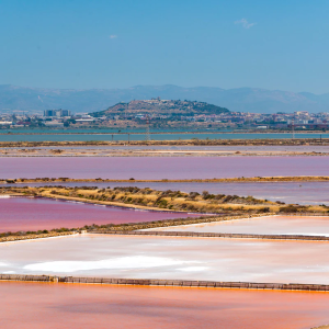 Saline Contivecchi fai più trenino biglietti saline conti vecchi
