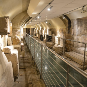 Assisi cose da vedere biglietti visita Pinacoteca, Foro Romano e Rocca Maggiore