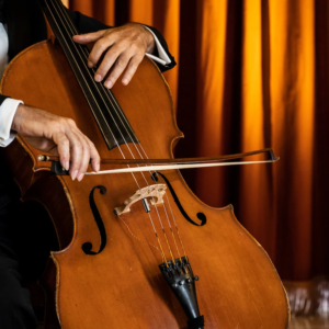 concerto arie opera a palazzo medici acquaviva di Napoli