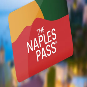 Naples pass artecard 7 giorni accesso completo ai Musei della Campania