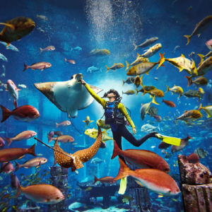 biglietto per Acquario di Lost chambers e la citta di Atlantide a Dubai con immersione subacquea di 30 minuti per snorkeling