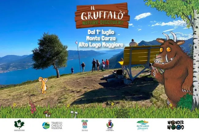 wonderwood rimini