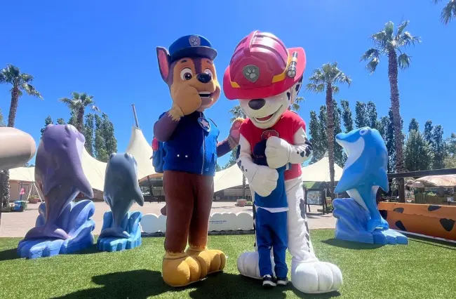 nick patrol a zoomarine