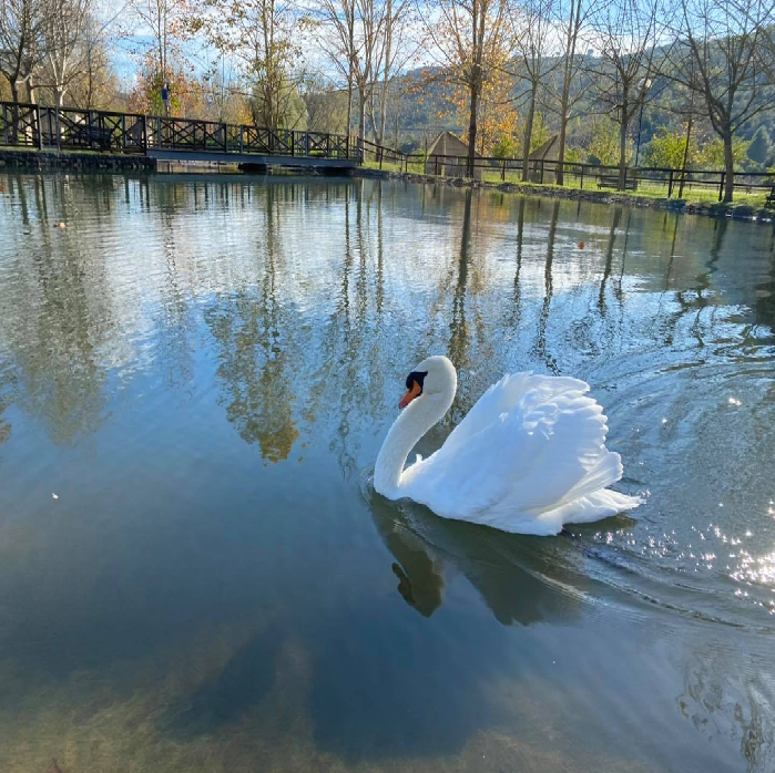 Parco dell'Oasi del Fiume Alento ingresso biglietti famiglia saltafila - immagine 2