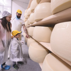 fico eataly world ingresso e corso di pizza gelato o pasta anche per bambini