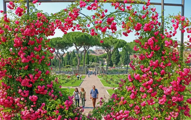 the municipality rose garden of rome