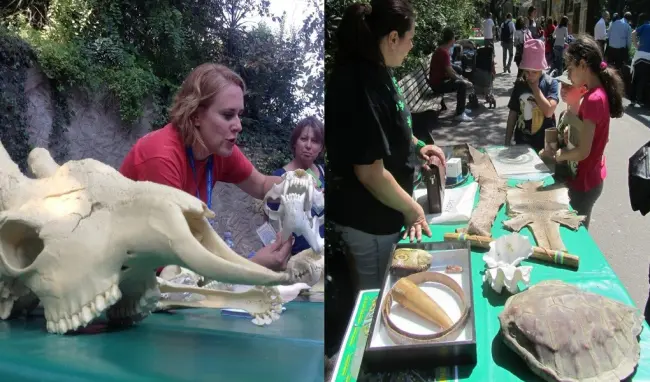 incontra la natura al Bioparco di Roma